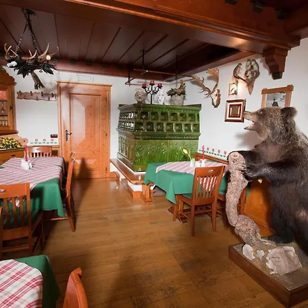 Guest house Tulipan