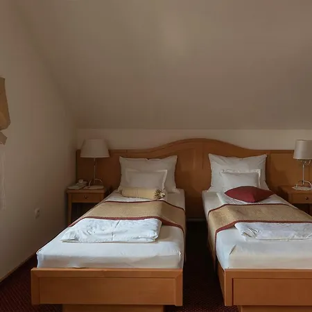 Guest house Tulipan 4*