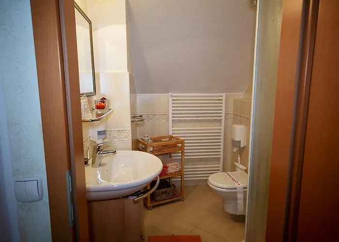 Tulipan בית הארחה