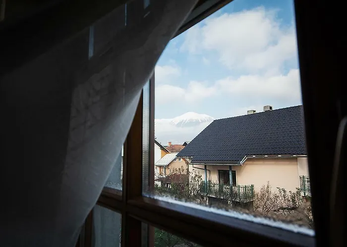 Tulipan Penzion Lesce (Upper Carniola)